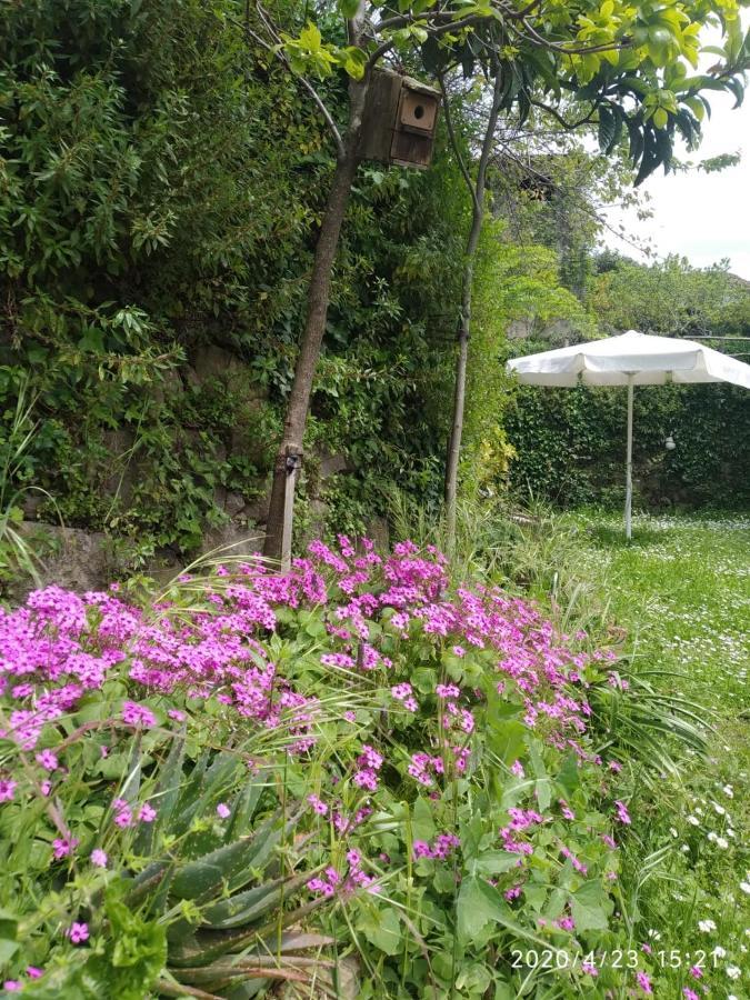 Apartamentos & Casa Rural Boada Con Jardin Interior Y Barbacoa Villamiel Εξωτερικό φωτογραφία